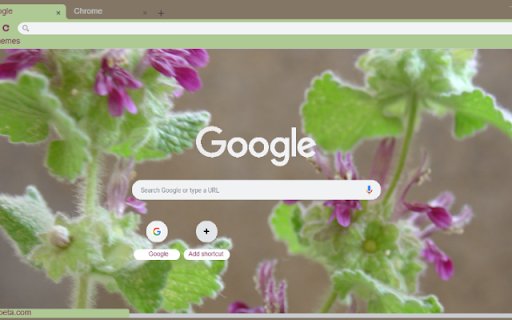 Ballota  from Chrome web store to be run with OffiDocs Chromium online