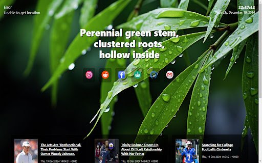 bamboo  from Chrome web store to be run with OffiDocs Chromium online