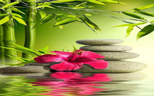 Bamboo and stone wallpaper  from Chrome web store to be run with OffiDocs Chromium online