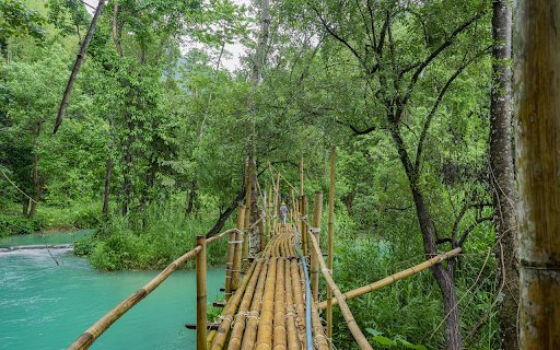 Bamboo bridge  from Chrome web store to be run with OffiDocs Chromium online