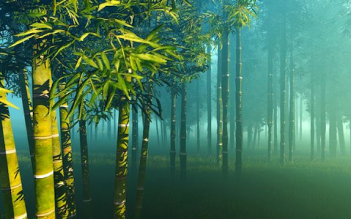 Bamboo Forest in Mist  from Chrome web store to be run with OffiDocs Chromium online