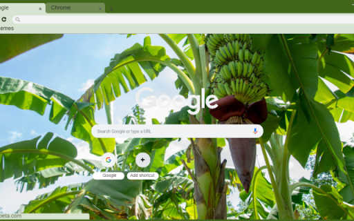 Banana Tree  from Chrome web store to be run with OffiDocs Chromium online
