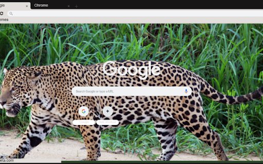 Bao  from Chrome web store to be run with OffiDocs Chromium online