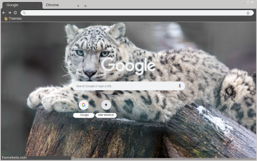 Bao trang Bac Cuc  from Chrome web store to be run with OffiDocs Chromium online