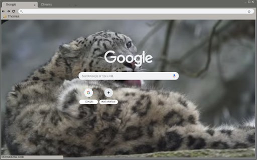 Bao tuyet  from Chrome web store to be run with OffiDocs Chromium online