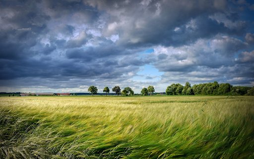 Barley field  from Chrome web store to be run with OffiDocs Chromium online