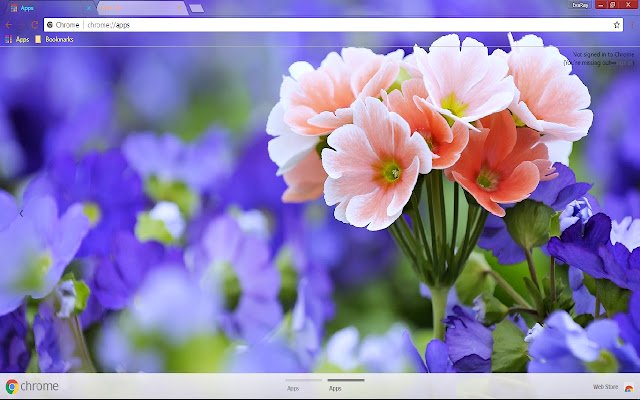 Bavaria Flower Garden Germany da Chrome Web Store será executado com OffiDocs Chromium online