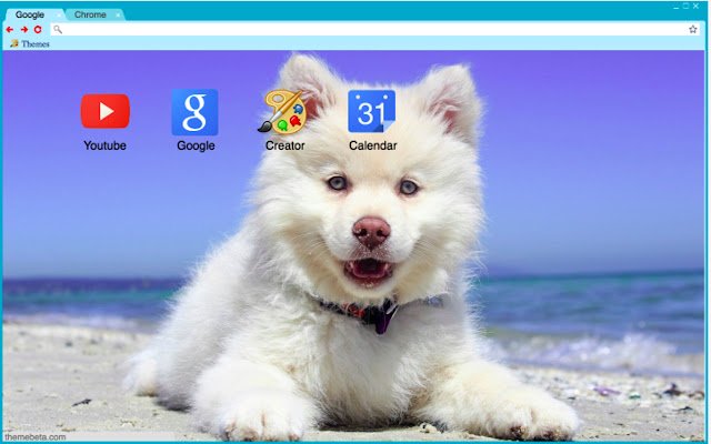 Beach Puppy aus dem Chrome-Webshop, der mit OffiDocs Chromium online betrieben werden soll