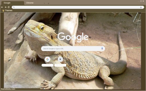 Bearded Dragon  from Chrome web store to be run with OffiDocs Chromium online