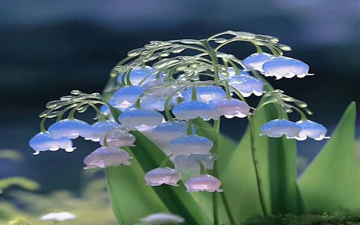 beautiful bell flower wallpaper  from Chrome web store to be run with OffiDocs Chromium online