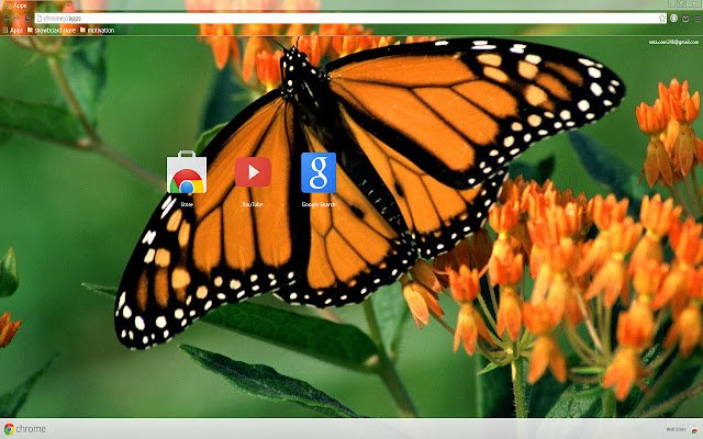 Chrome 网上商店的 Beautiful Butterfly 将与 OffiDocs Chromium 在线运行