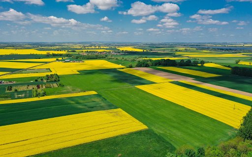 Beautiful countryside scene  from Chrome web store to be run with OffiDocs Chromium online