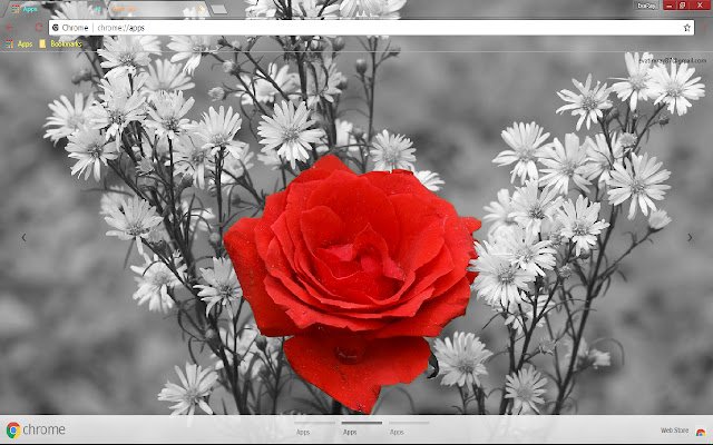 Chrome 网上商店的美丽花卉自然摄影将与 OffiDocs Chromium 在线运行