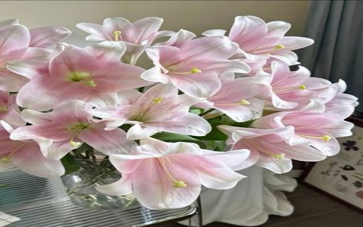 beautiful lily flower wallpaper  from Chrome web store to be run with OffiDocs Chromium online