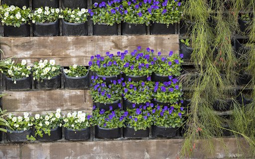 Beautiful little flower pots  from Chrome web store to be run with OffiDocs Chromium online