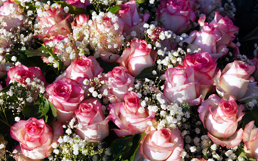 Beautiful rose bouquet  from Chrome web store to be run with OffiDocs Chromium online