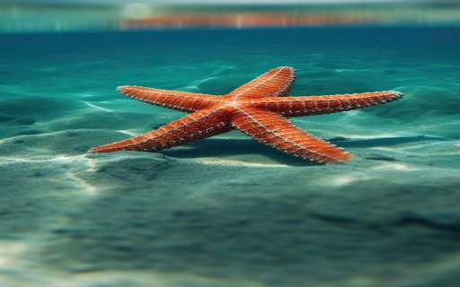 Beautiful starfish wallpape  from Chrome web store to be run with OffiDocs Chromium online