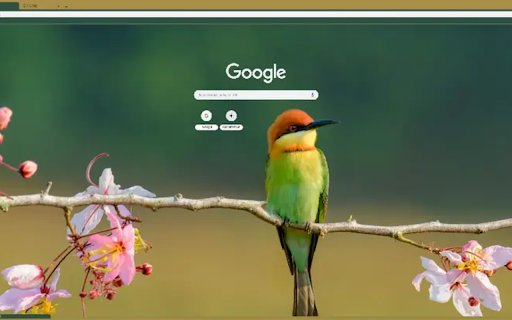 Bee eater from Chrome web store to be run with OffiDocs Chromium online Bee eater from Chrome web store to be run with OffiDocs Chromium online