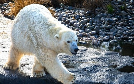 BEER THEME  from Chrome web store to be run with OffiDocs Chromium online