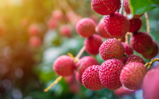 Berry Bright, Sunlit Ruby Spheres  from Chrome web store to be run with OffiDocs Chromium online