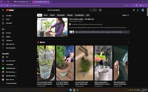 Berryductive  from Chrome web store to be run with OffiDocs Chromium online