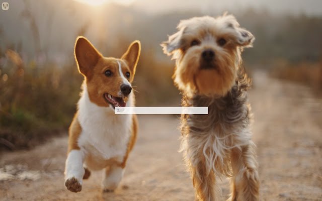 Best Friend Backgrounds  from Chrome web store to be run with OffiDocs Chromium online