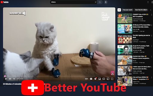 Better YouTube  from Chrome web store to be run with OffiDocs Chromium online