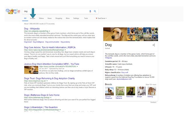 Betty Fix Пошук зображень Google із веб-магазину Chrome для запуску з OffiDocs Chromium онлайн