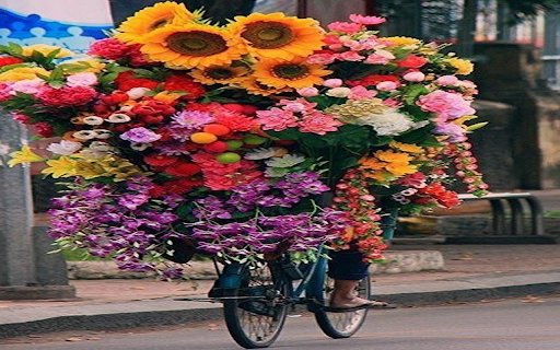 Bicycle carrying many flowers Wallpaper  from Chrome web store to be run with OffiDocs Chromium online