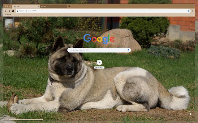 Big dog on the grass  from Chrome web store to be run with OffiDocs Chromium online