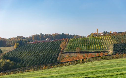 Big farm  from Chrome web store to be run with OffiDocs Chromium online