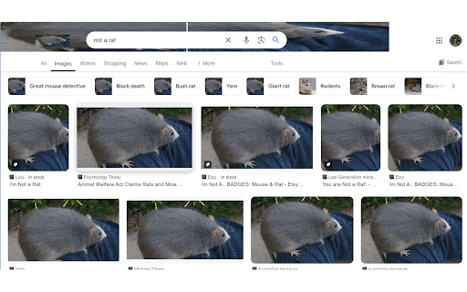 Big Fat Rat  from Chrome web store to be run with OffiDocs Chromium online