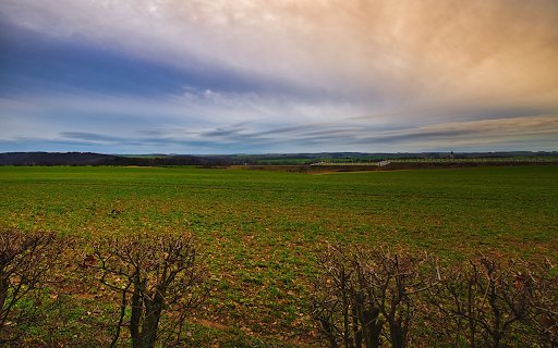 Big green grass field from Chrome web store to be run with OffiDocs Chromium online Big green grass field from Chrome web store to be run with OffiDocs Chromium online