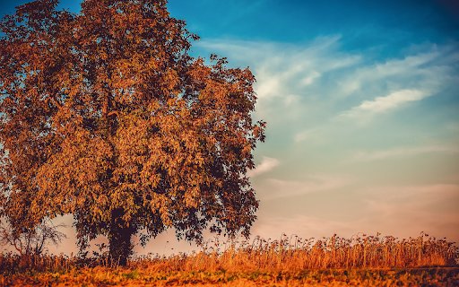 Big tree  from Chrome web store to be run with OffiDocs Chromium online