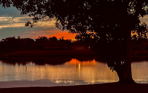 Big tree by the lake at sunset  from Chrome web store to be run with OffiDocs Chromium online