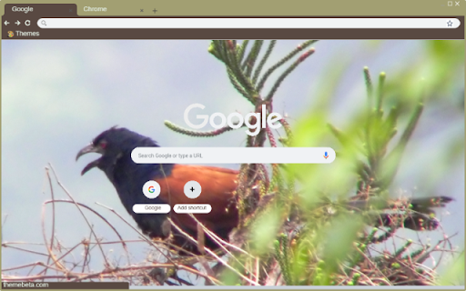 Bim bip from Chrome web store to be run with OffiDocs Chromium online Bim bip from Chrome web store to be run with OffiDocs Chromium online