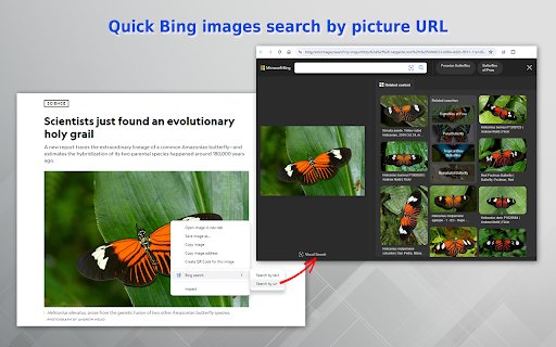 Bing Images Search  from Chrome web store to be run with OffiDocs Chromium online