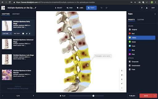 BIODIGITAL HUMAN  from Chrome web store to be run with OffiDocs Chromium online