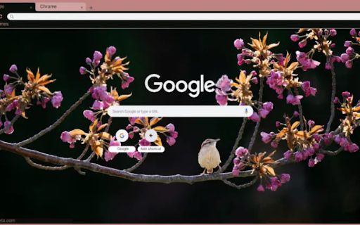 Bird  from Chrome web store to be run with OffiDocs Chromium online