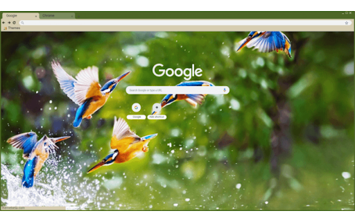 Birds  from Chrome web store to be run with OffiDocs Chromium online