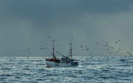 Birds Flying above a Ship on the Sea from Chrome web store to be run with OffiDocs Chromium online Birds Flying above a Ship on the Sea from Chrome web store to be run with OffiDocs Chromium online