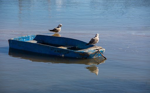 Birds on a Boat from Chrome web store to be run with OffiDocs Chromium online Birds on a Boat from Chrome web store to be run with OffiDocs Chromium online