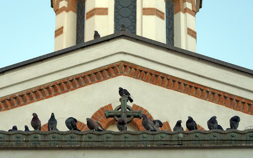 Birds on the Roof  from Chrome web store to be run with OffiDocs Chromium online