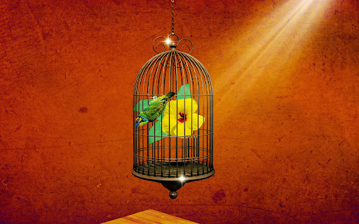 Birds outside flower cages  from Chrome web store to be run with OffiDocs Chromium online