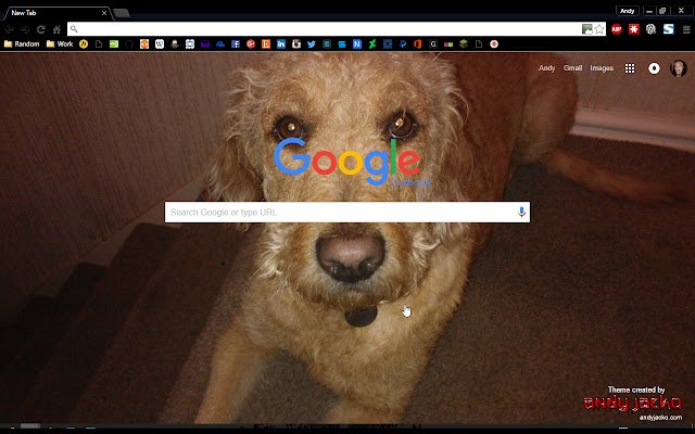 Chrome ウェブストアの Biscuit Labradoodle を OffiDocs Chromium online で実行