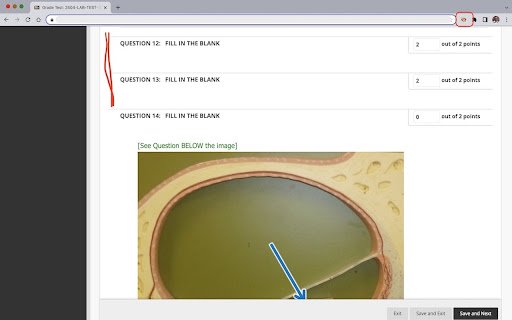 Blackboard Grader  from Chrome web store to be run with OffiDocs Chromium online