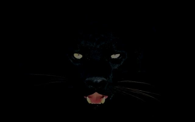 Black Cat Panther  from Chrome web store to be run with OffiDocs Chromium online