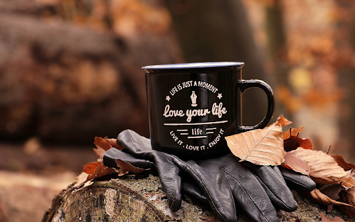 Black gloves in the forest  from Chrome web store to be run with OffiDocs Chromium online