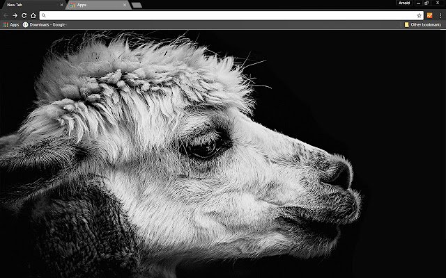 Black Lama  from Chrome web store to be run with OffiDocs Chromium online