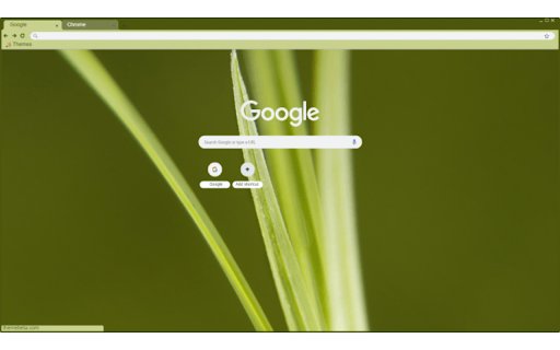 blades of grass  from Chrome web store to be run with OffiDocs Chromium online